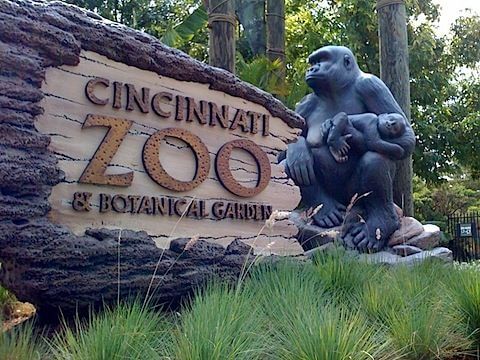 Cincinnati Zoo sign with gorilla statue 